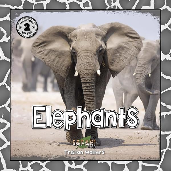 Elephants: A Book for Children : Steve Bloom: Amazon.co.uk